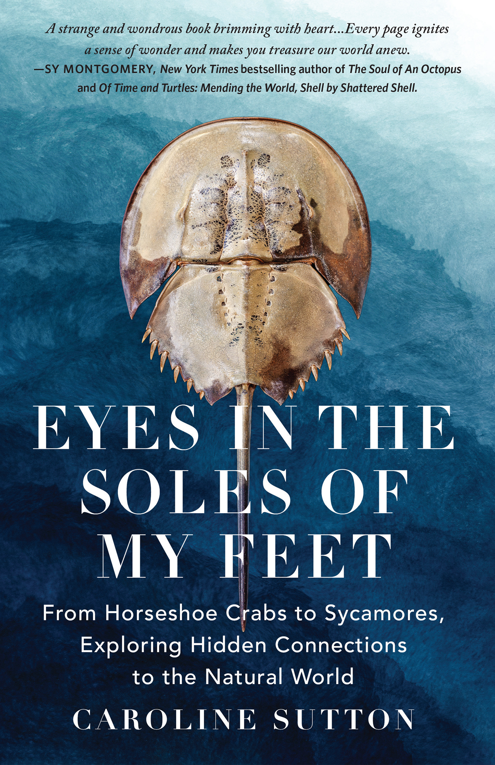 Eyes In The Soles Of My Feet